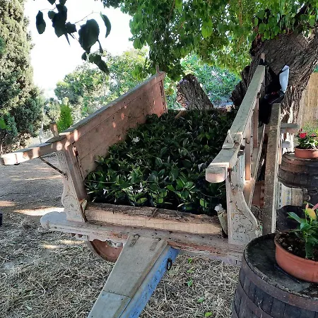 Panzió Tenuta Coppa Zuccari Citta' Sant'Angelo