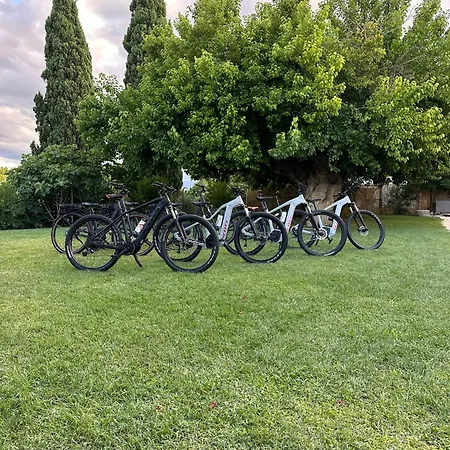 Frühstückspension Tenuta Coppa Zuccari