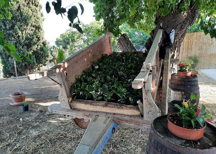 Panzió Tenuta Coppa Zuccari Citta' Sant'Angelo