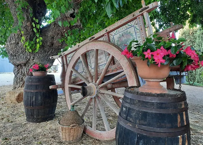 Tenuta Coppa Zuccari 4* צ'יטה סנט'אנג'לו