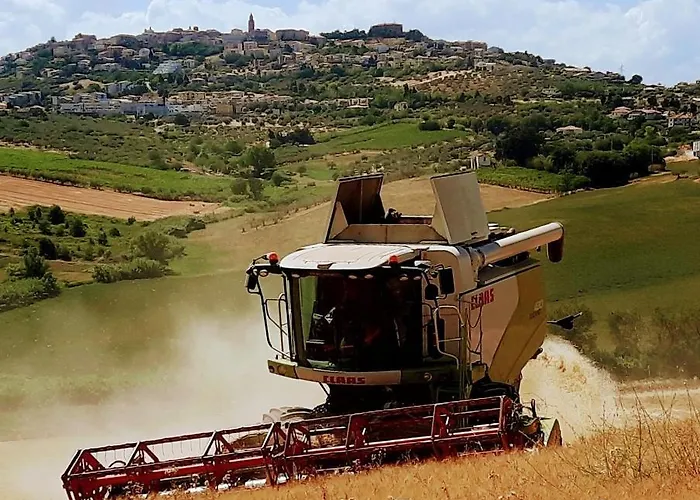 Panzió Tenuta Coppa Zuccari